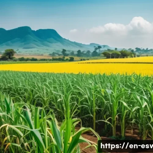 Home 32 에스와티니에서 사업 기회 찾기 - A vibrant Eswatini agricultural landscape showcasing lush sugarcane fields and maize crops under a b...
