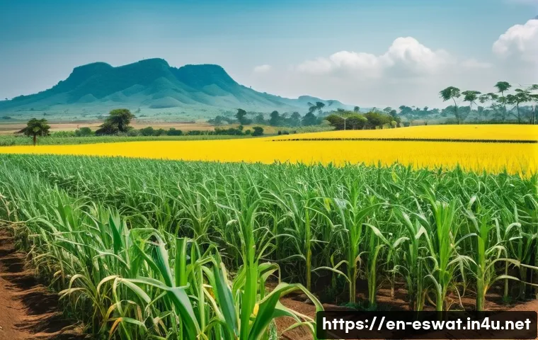 에스와티니에서 사업 기회 찾기 - A vibrant Eswatini agricultural landscape showcasing lush sugarcane fields and maize crops under a b...
